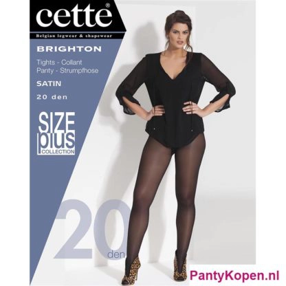 Brighton Plus Size Panty